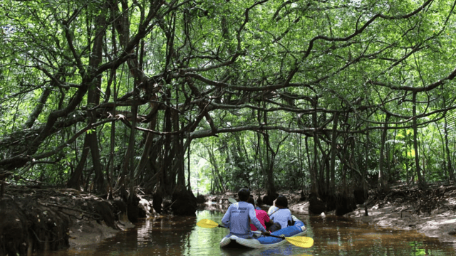 Khao Lak: Sri Phang Nga National Park and Takuapa Tour
