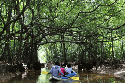 Khao Lak: Sri Phang Nga National Park und Takuapa Tour