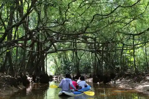 Khao Lak: Sri Phang Nga National Park and Takuapa Tour