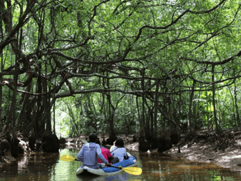 Khao Lak : Parc national de Sri Phang Nga et visite de Takuapa