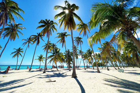 Punta Cana: Saona Island Premium 3 beaches