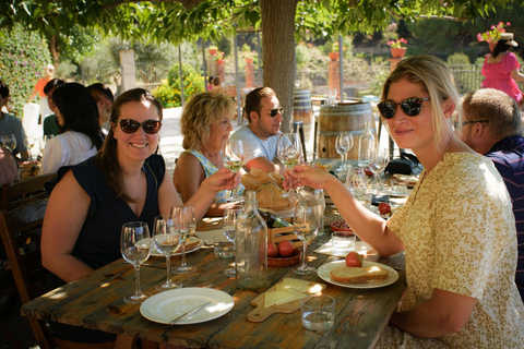 Da Barcellona: Tour delle cantine in barca a vela e in e-bike con degustazioneDa un&#039;auto a un&#039;azienda vinicola con navigazione a Barcellona