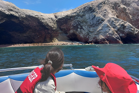 Ganztägige Touren: Von Lima - Paracas - Huacachina Oase