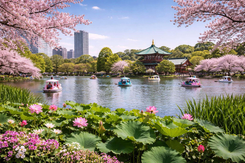 From Tokyo: Tokyo Full Day Private Sightseeing City Tour ITINERARY B:Tokyo Private Customized Tour With English Guide