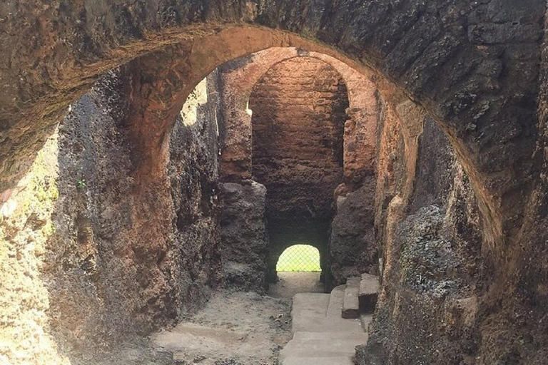 Mombasa: Tour privado de un día con el Parque Haller y el Fuerte Jesús