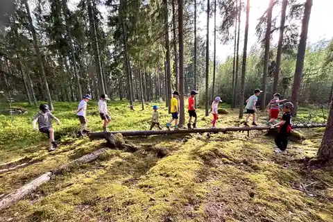 Helsinki : Expérience guidée dans la nature avec feu de camp et repas