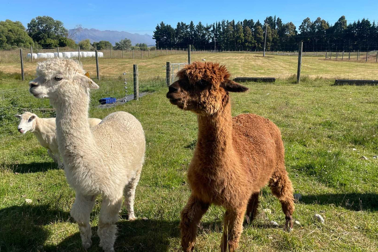 From Queenstown: Coach, Farm Tour &amp; Milford Nature Cruise