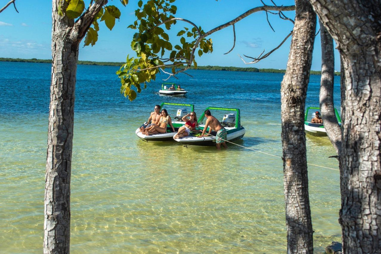 Tour della giungla totale da esplorare a CancunTour della giungla totale da esplorare a Cancún