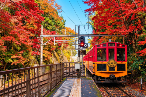 Osaka: Nara, Kyoto, and Arashiyama Day Trip with Train Ride Small Group (1–13 People, Meeting Point Pickup)