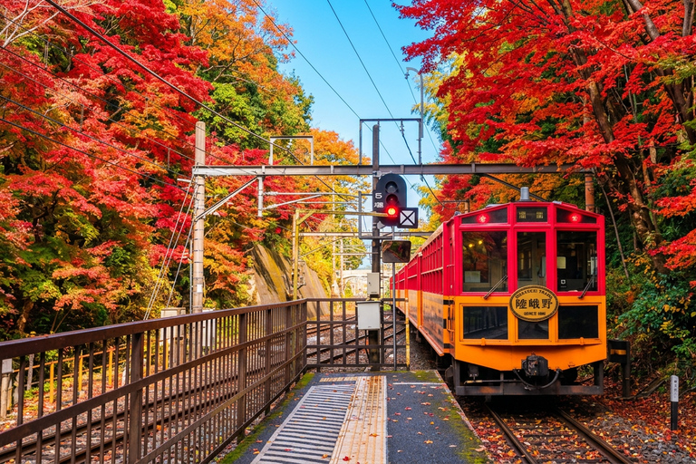 Osaka: Nara, Kyoto, and Arashiyama Day Trip with Train Ride Small Group (1–13 People, Meeting Point Pickup)