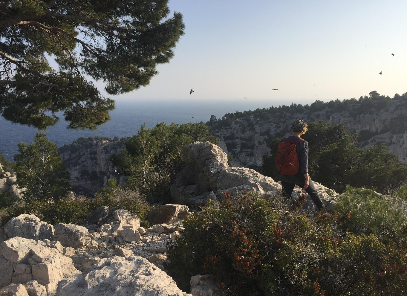 Marseille: Guidet vandretur i Calanques Nationalpark med picnic