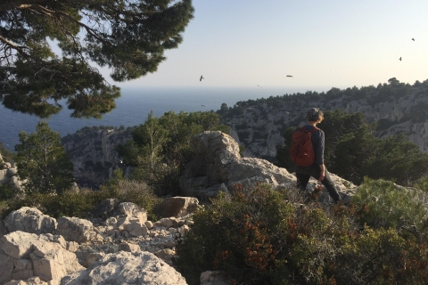 Desde Marsella: Senderismo en el Parque Nacional de las CalanquesSenderismo a las Calanques