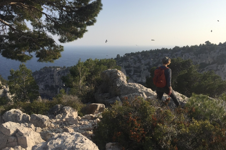 Von Marseille aus: Wanderung im Calanques-NationalparkWanderung zu den Calanques Privater Winter