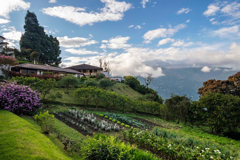 Baños de Agua Santa: Moon Volcano Sightseeing Tour