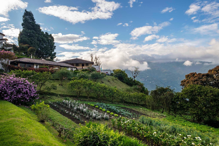 Baños de Agua Santa: Moon Volcano Sightseeing Tour