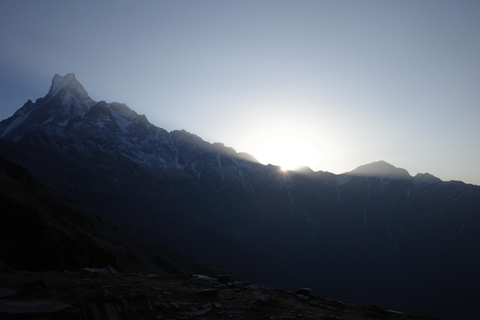 Från Katmandu: 8-dagars Mardi Himal Trek med transfer