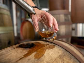 Sarina: Rum Distillery Guided Tour and Tasting