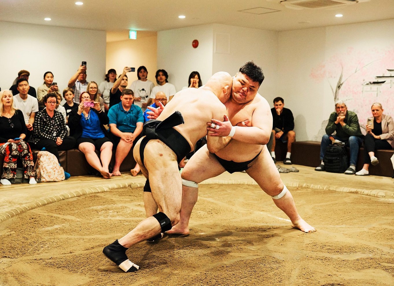 Osaka: Sumooplevelse med liveshow og publikumsudfordring