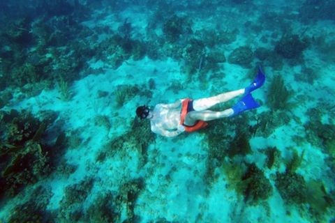 Gezinsvriendelijke catamaran bij zonsondergang in Jamaica met DJ