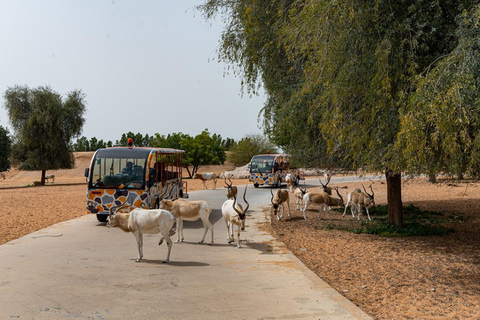 Dubai: Inträdesbiljett till Dubai Safari ParkSafari Park Pass