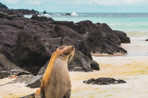 4-Day Galapagos Essential Budget Tour
