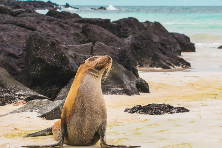 4-Day Galapagos Essential Budget Tour