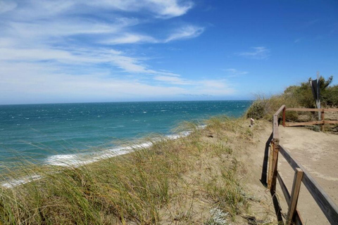 Peninsula Valdes Shore Tour for Cruise Passengers + City