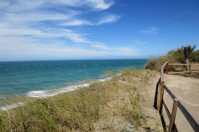 Peninsula Valdes Shore Tour for Cruise Passengers + City