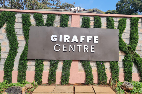 Private Cultural Souvenir Shopping and Giraffe Center Tour