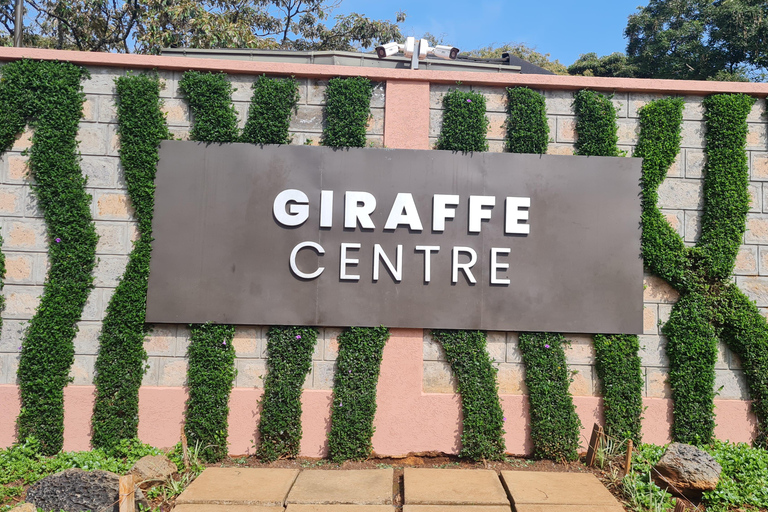 Private Cultural Souvenir Shopping and Giraffe Center Tour