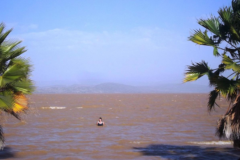 Addis Ababa: 5-Day Northern Ethiopia Historical Tour