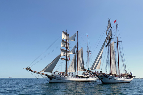 Hanse Sail Rostock: Cruise on Historic Tall Ship Tall Ship Loth Lorien