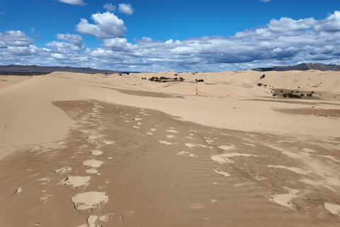 From Ulaanbaatar: Elsen-Tasarkhai 2-Day Camel Tour From Ulaanbaatar: Elsen-Tasarkhai 2-Day Camel Tour