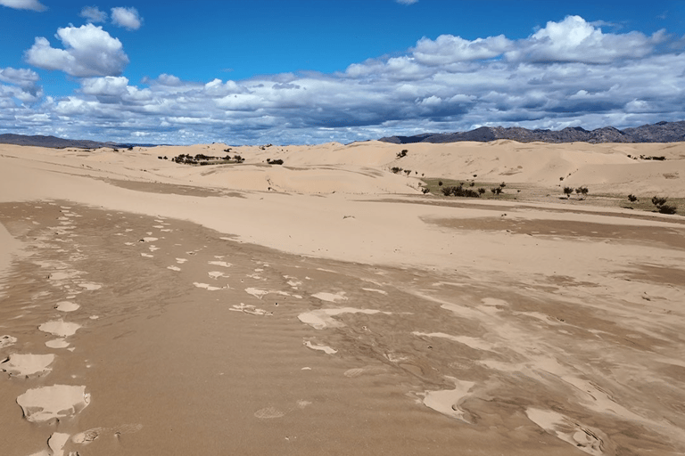 From Ulaanbaatar: Elsen-Tasarkhai 2-Day Camel Tour From Ulaanbaatar: Elsen-Tasarkhai 2-Day Camel Tour