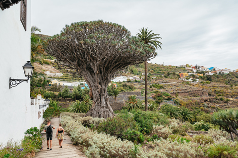 Icod de los Vinos: entrada al árbol del dragón y al jardín botánico