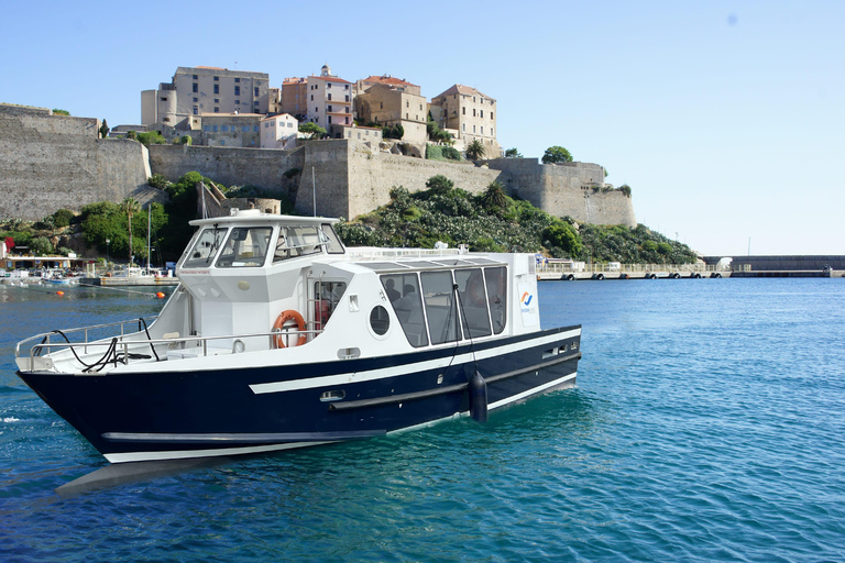 Calvi: Visite guidée en vedette vers Scandola et Girolata