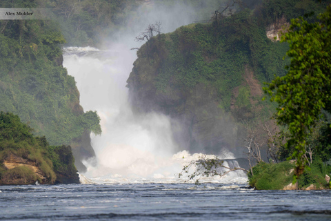 Kampala: 3-Day Murchison Falls & Ziwa Rhino Safari