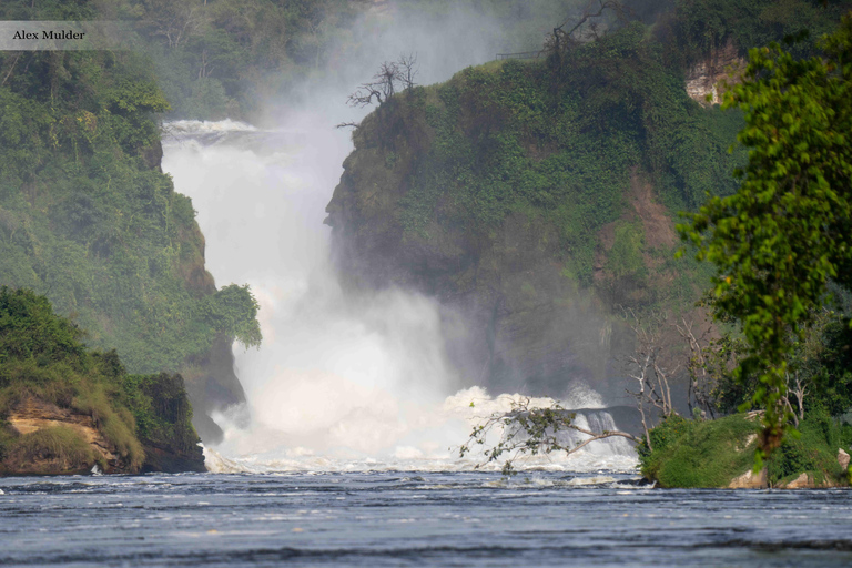 Kampala: 3-Day Murchison Falls & Ziwa Rhino Safari
