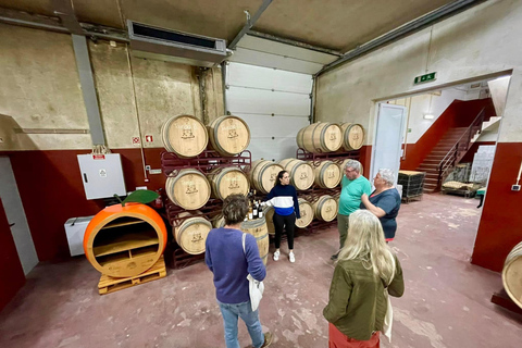 Albufeira, Olhão, Faro: visit to a vineyard, free time in Silves