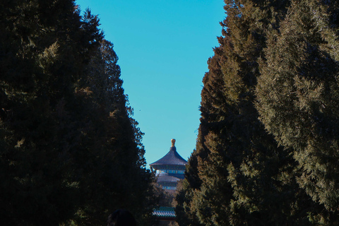 Summer Palace - Usługa rezerwacji biletów dla agentów