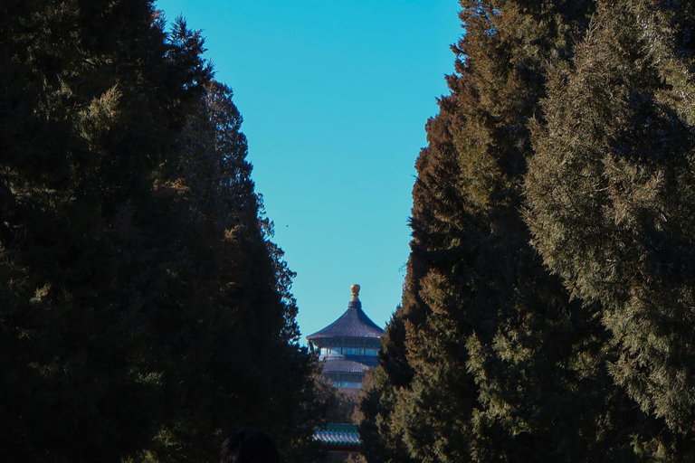 Summer Palace - Usługa rezerwacji biletów dla agentów