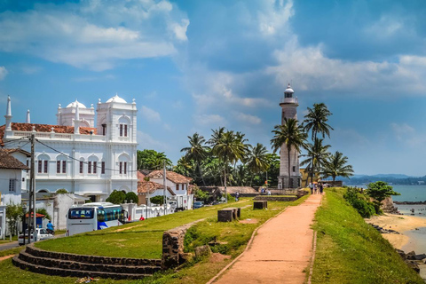 Från Ella: Galle / Mirissa / Tangalle Transfer med Safari