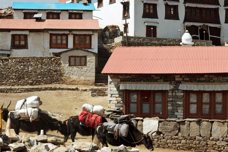 Entdecke den Everest in 5 Tagen: Trek von Kathmandu nach Namche Bazaar