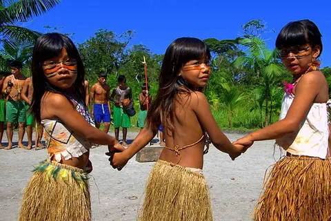 Excursão em terra em Santos: Floresta Tropical e Reserva Indígena