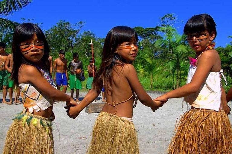 Santos Excursie aan wal: Regenwoud en IndianenreservaatVan Santos: Regenwoud en indianenreservaat