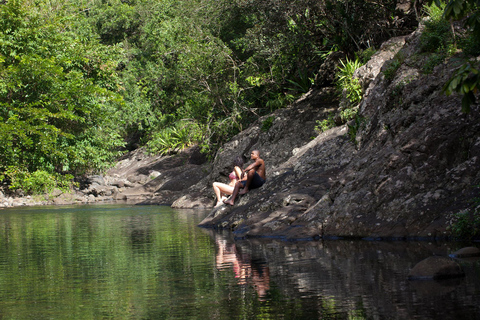 Mauritius nationalpark: Upptäck ön som den en gång var