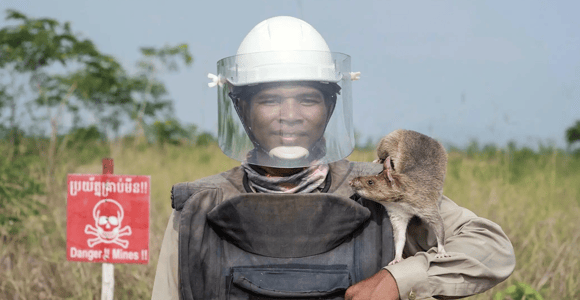 Siem Reap: Village Tour with HeroRATs & Lotus Silk Farm