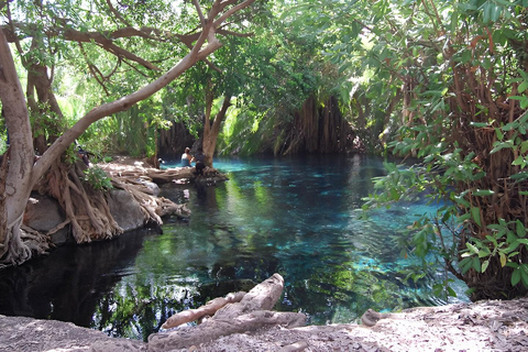 Materuni: Tagestour zum Kaffeekochen und Wasserfallwandern