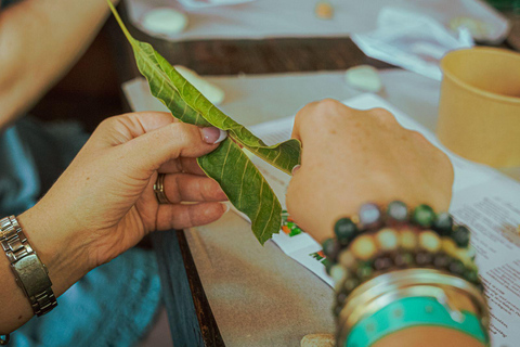 Aruba : Atelier de fabrication de bocaux à l&#039;intention de la faune et de la flore locales