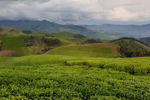 Rwanda: 8-Day Guided Cycling Tour of the Congo Nile Trail